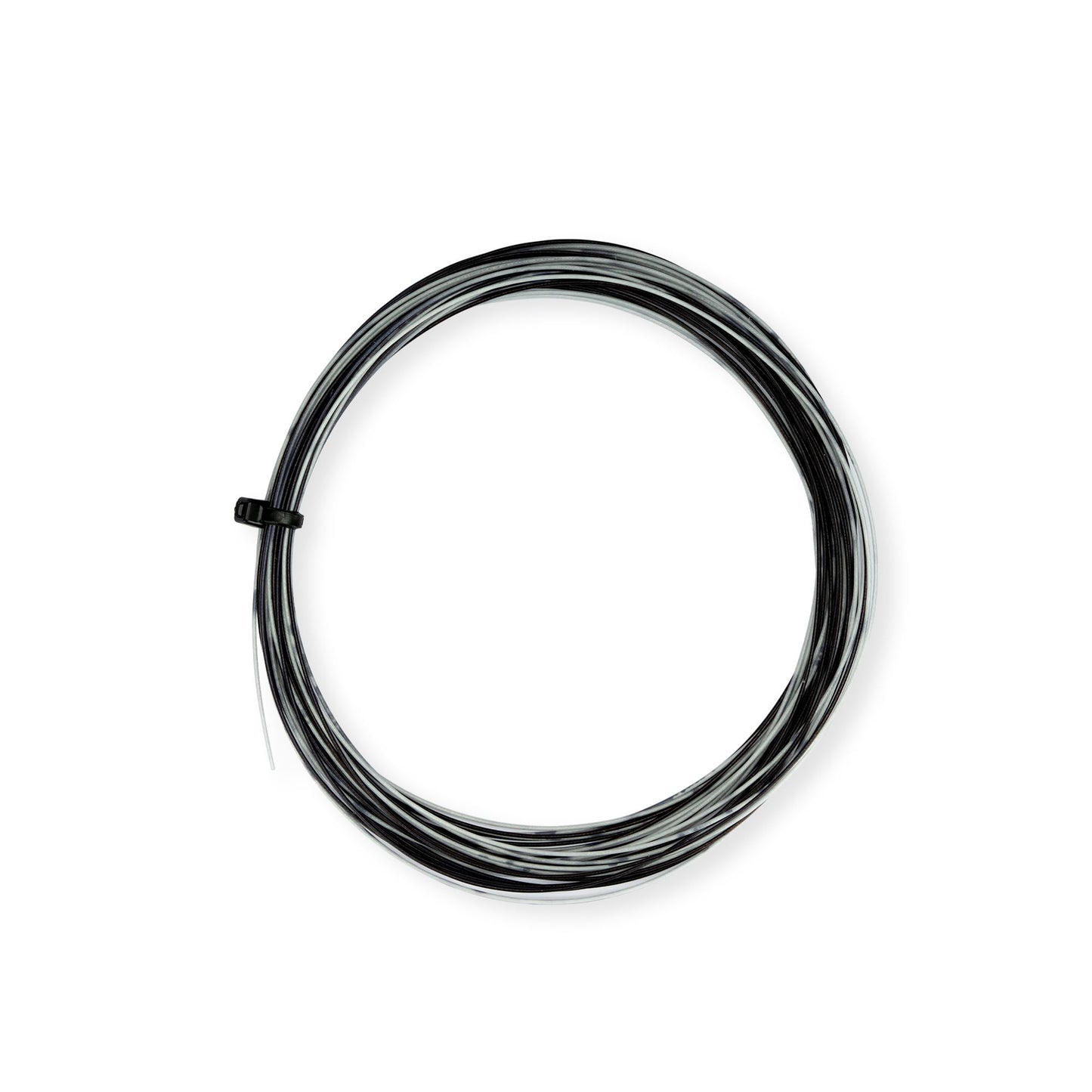 Ap-66 Rainbow- Black/White