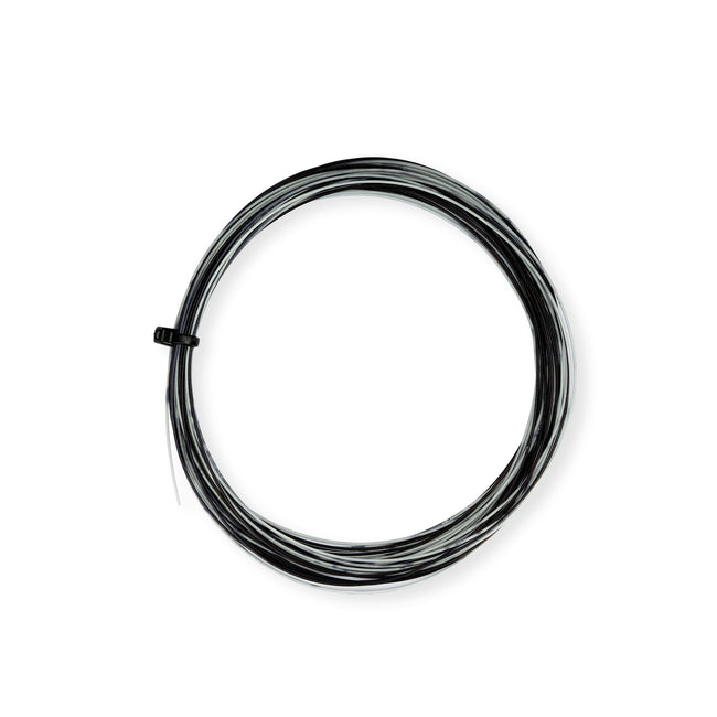 Ap-66 Rainbow- Black/White