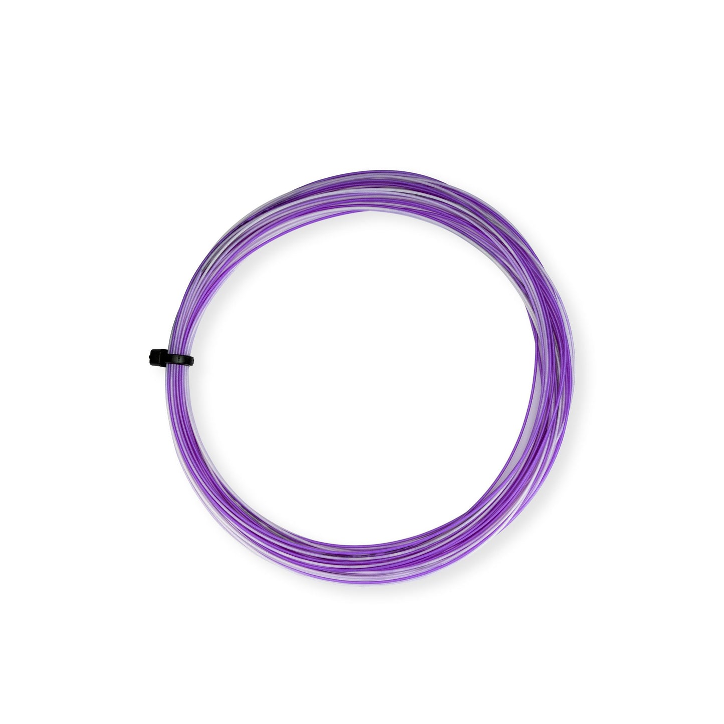 Ap-66 Rainbow- White/Purple 