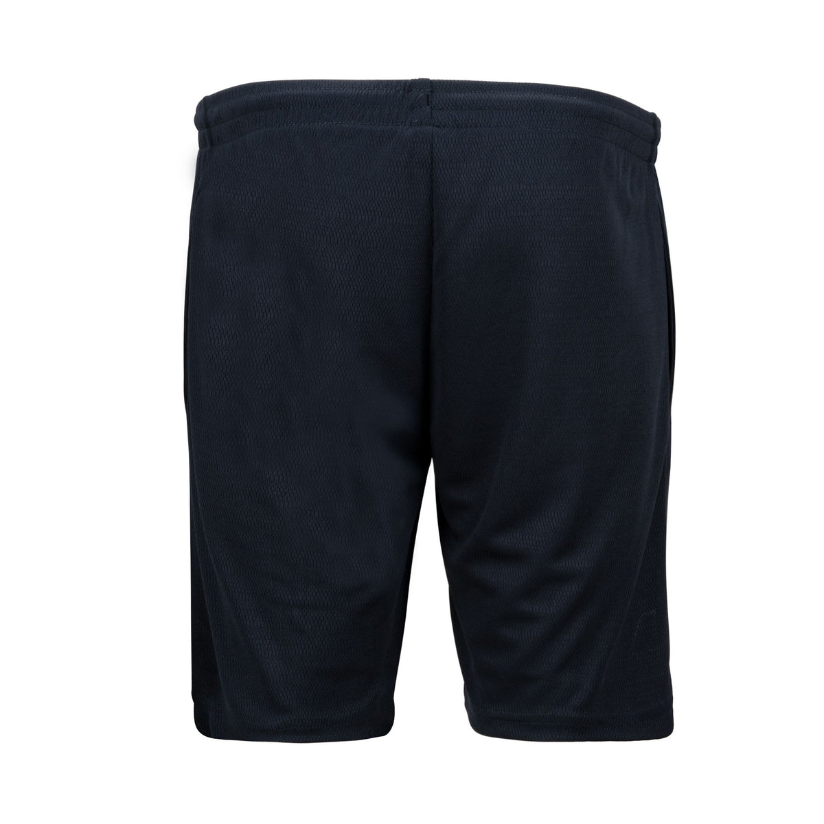 Solid LN Shorts (Navy/Silver)